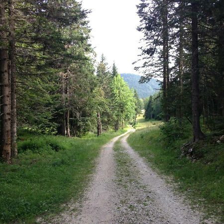 Appartamento Beau Site Villard-de-Lans Esterno foto
